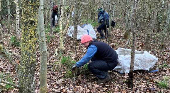 The Journey of Antonia Illingworth as a Trainee Forester