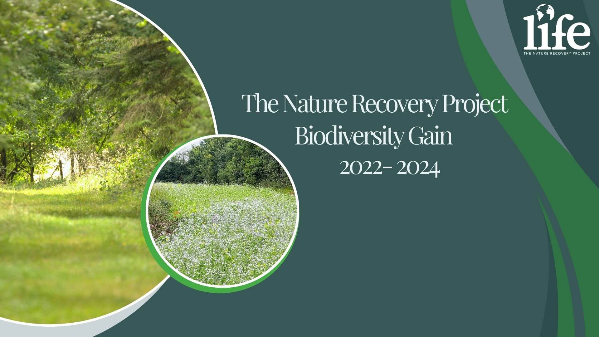 Introducing the Nature Recovery Project Biodiversity Gain (BNG) Impact Report 2023-24