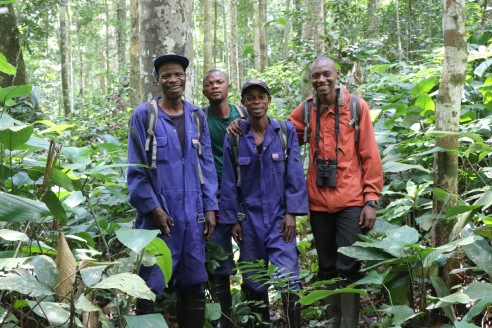 Photograph of people standing in a forest
