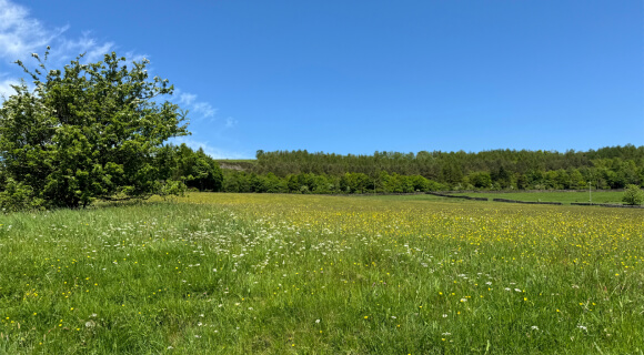 Nature Friendly Farming Network